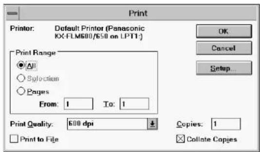 Print Printer: Default Printer (Panasonic KX-FLM600/650 on LPT1:) Print Range All Exploration Pages From: 1 To: 1 Print Quality: 600 dpi Print to File Copies: 1 Collate Copies OK Cancel Setup...