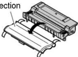 section