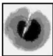 Panduit FSCRIBE - Ferrule Tip After 1μm Diamond Polish - 4