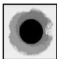 Panduit FSCRIBE - Ferrule Tip After 1μm Diamond Polish - 2