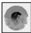 Panduit FSCRIBE - WARNING: NEVER LOOK INTO THE END OF A FIBER WHICH MAY HAVE A LASER COUPLED TO IT. - 6