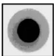 Panduit FSCRIBE - Ferrule Tip After 1μm Diamond Polish - 1