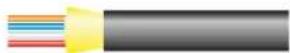 Neutrik NO12SABB6D-A - opticalCON MTP® 24 LITE - 2