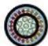 Neutrik NO12SABB6D-A - opticalCON MTP® 24 LITE - 7