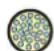 Neutrik NO4MBB2D-A - opticalCON MTP® 24 LITE - 15