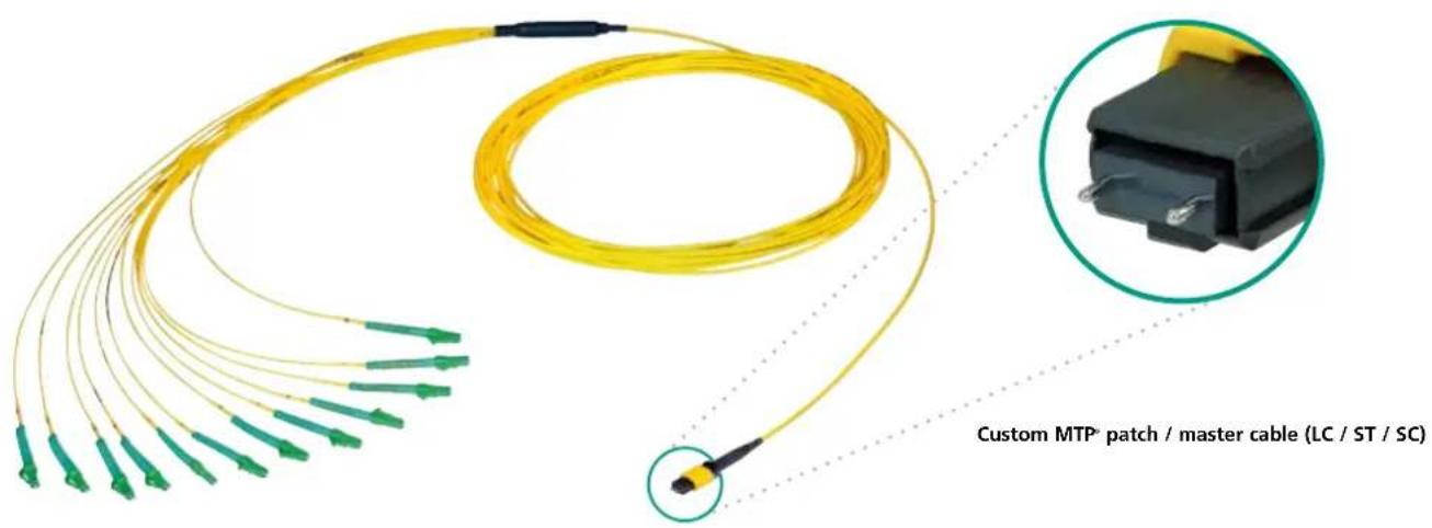 Neutrik NO4MBB2D-A - MTP Breakout / Master Cable - 1