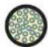 Neutrik NO4SABB4D-A - opticalCON MTP® 24 LITE - 3