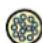 Neutrik NO4SBB2D-A - opticalCON MTP® 24 LITE - 5