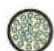 Neutrik NO4SABB2D-A - opticalCON MTP® 24 LITE - 15