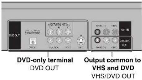 PANASONIC NV-VP31EE - The output terminal common to VHS and DVD, and the one exclusively for DVD - 1