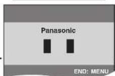 PANASONIC NV-VP31EE - Note: - 3