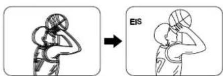 EIS