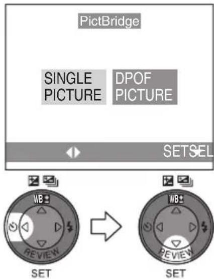 PANASONIC Lumix DMC-FC70GD - [SINGLE PICTURE]를 선택합니다. - 1