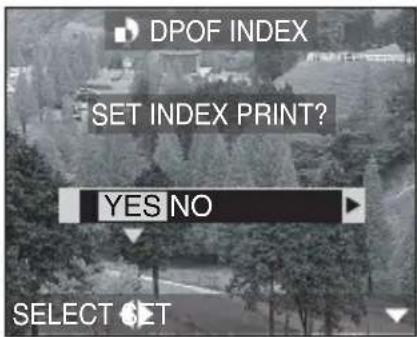 PANASONIC Lumix DMC-FC70GD - [YES]를 선택하여 인덱스를 설정합니다. - 1