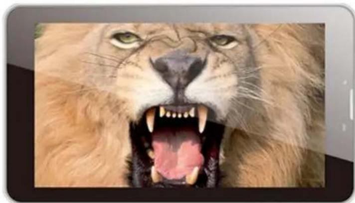 NEVIR NVR-TAB7 S13G (8GB) - 1