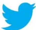 Storage Options Scroll Evoke - - TWITTER - 1