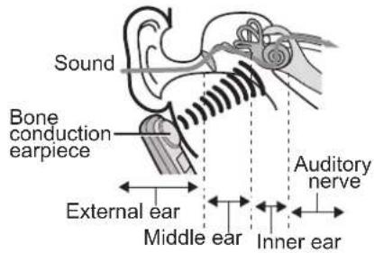 Sound Bone conduction earpiece External ear Middle ear Auditory nerve Inner ear