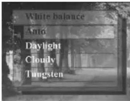 EASYPIX V10 - "Capture"/"White Balance" - 1