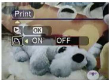 EASYPIX V11 - DPOF print - 1
