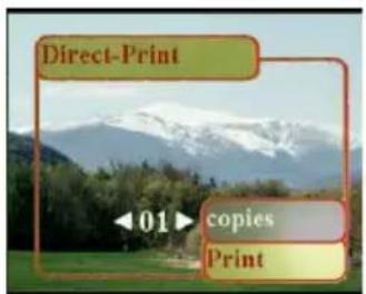 EASYPIX V25 - Using Direct-Print - 3