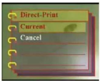 EASYPIX V25 - Using Direct-Print - 2