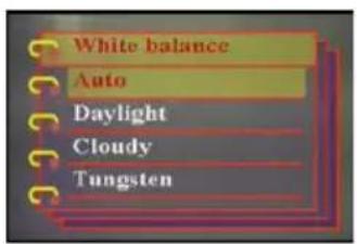 EASYPIX V25 - Setting the white balance - 2