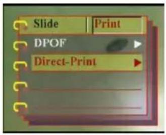 EASYPIX V25 - Using Direct-Print - 1