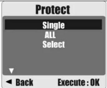 AGFA Sensor 530s - Protecting Selected Image(s) - 1