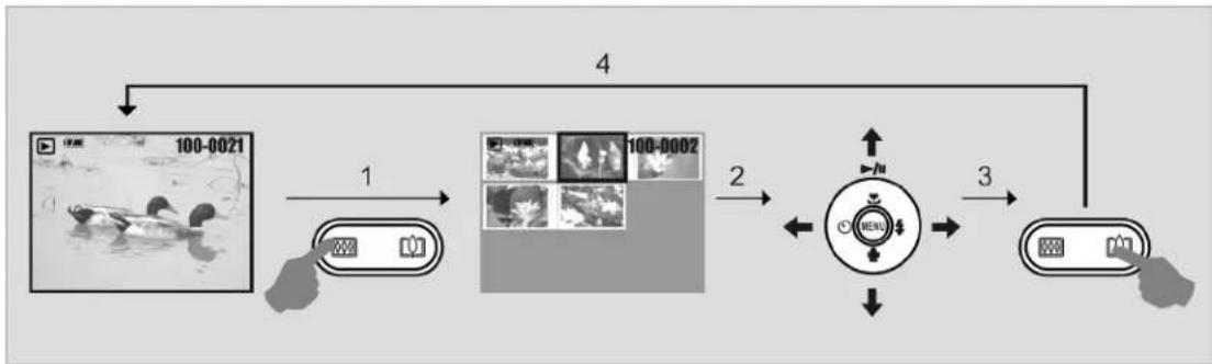 AGFA Sensor 530s - Thumbnail Display (Small Images) - 1