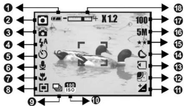 AGFA Sensor 530s - Display Information - 1