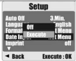 AGFA Sensor 530s - Date Input - 1