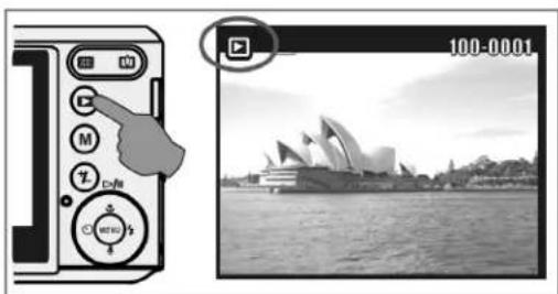 AGFA Sensor 530s - Playback - 1