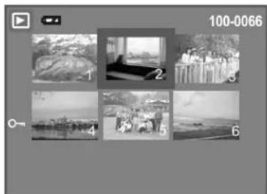 AGFA Sensor 530s - Protecting All Images - 2
