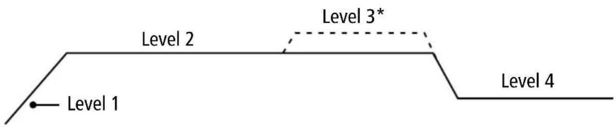 Level 1 Level 2 Level 3* Level 4