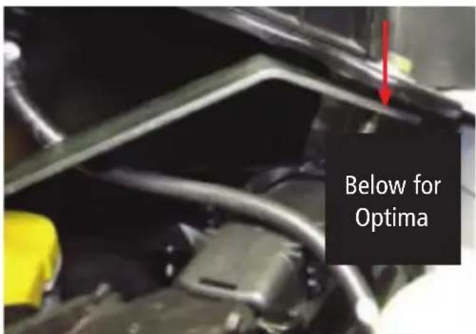 Below for Optima
