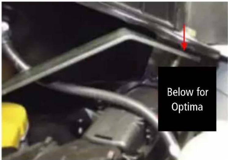 Below for Optima