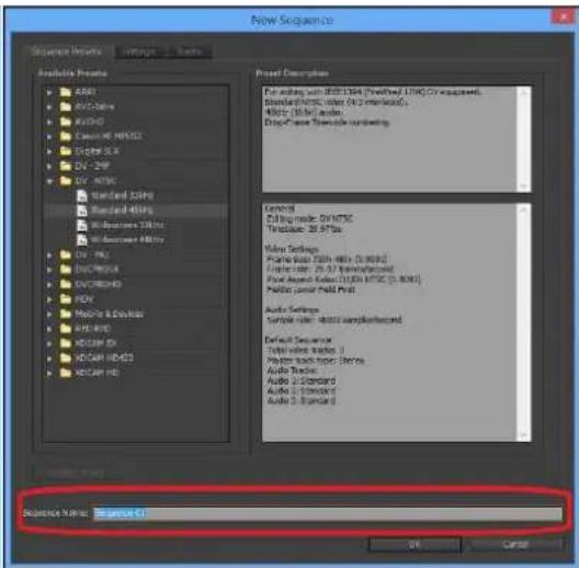 AVERMEDIA DarkCrystal 110 - General → Capture Format → AVer Record - 4