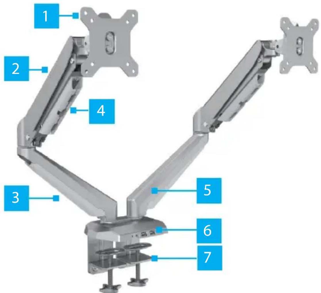 StarTech.com ARMSLIMDUO - Product Diagram - 1