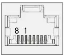 Lightware UMX-TP-TX100R - Twisted Pair outputs - 1