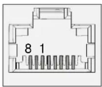 Lightware UMX-TP-TX100R - Twisted Pair outputs - 2