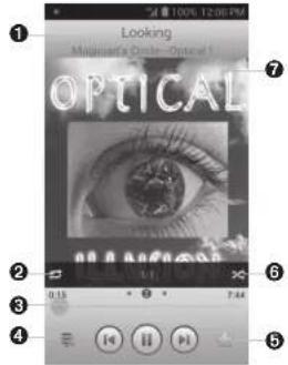 Looking Optical OptICAL