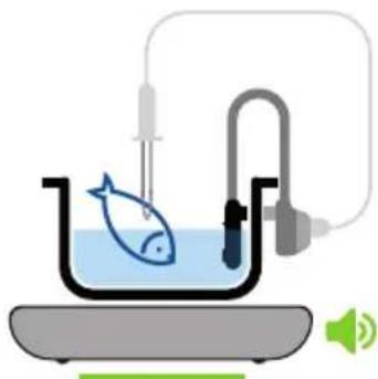 CATA ROCOOK ADVANCED KIT - The steps to follow are: - 9