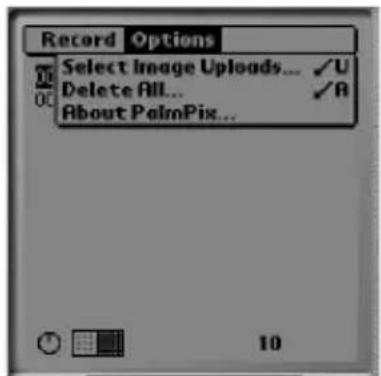 KODAK PalmPix - Transferring Pictures to a Computer - 1