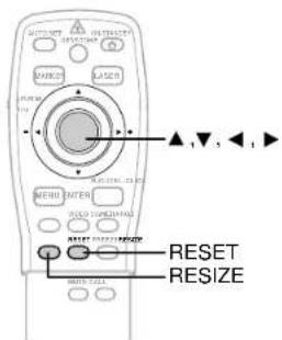 RESET RESIZE