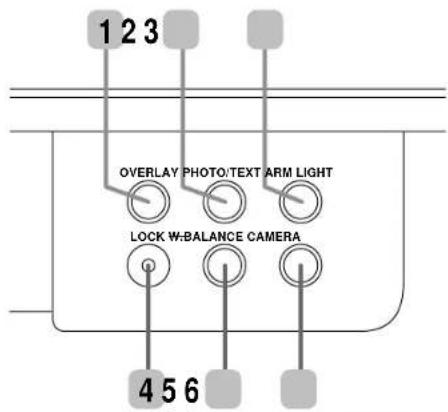 123 OVERLAY PHOTO/TEXT ARM LIGHT LOCK W:BALANCE CAMERA 456