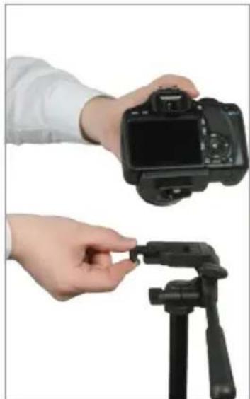 Magnus PV-3430 - Mounting the Quick-Release Plate to the Camera - 3