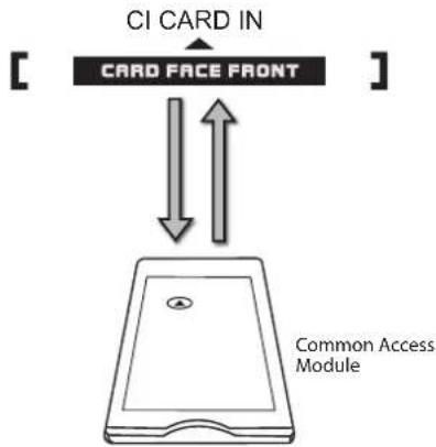 Logik L22FEDV12 - CI (Common Interface) - 1
