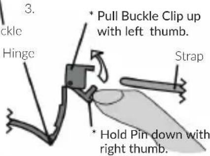 3. * Pull Buckle Clip up with left thumb. Hinge Strap * Hold Pin down with right thumb.