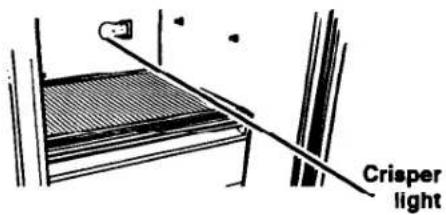 Roper RS20AKXDN00 - To change lower freezer light (on some models): - 1