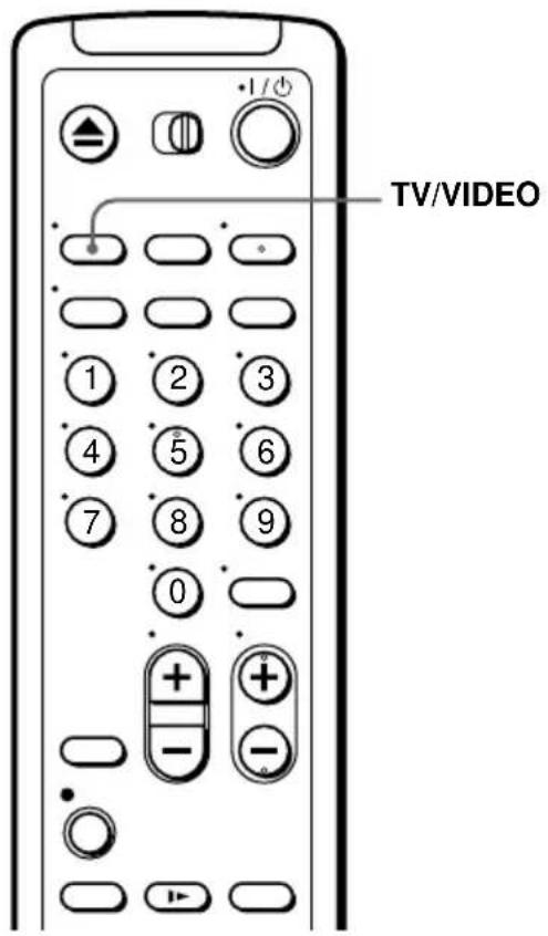 TV/VIDEO